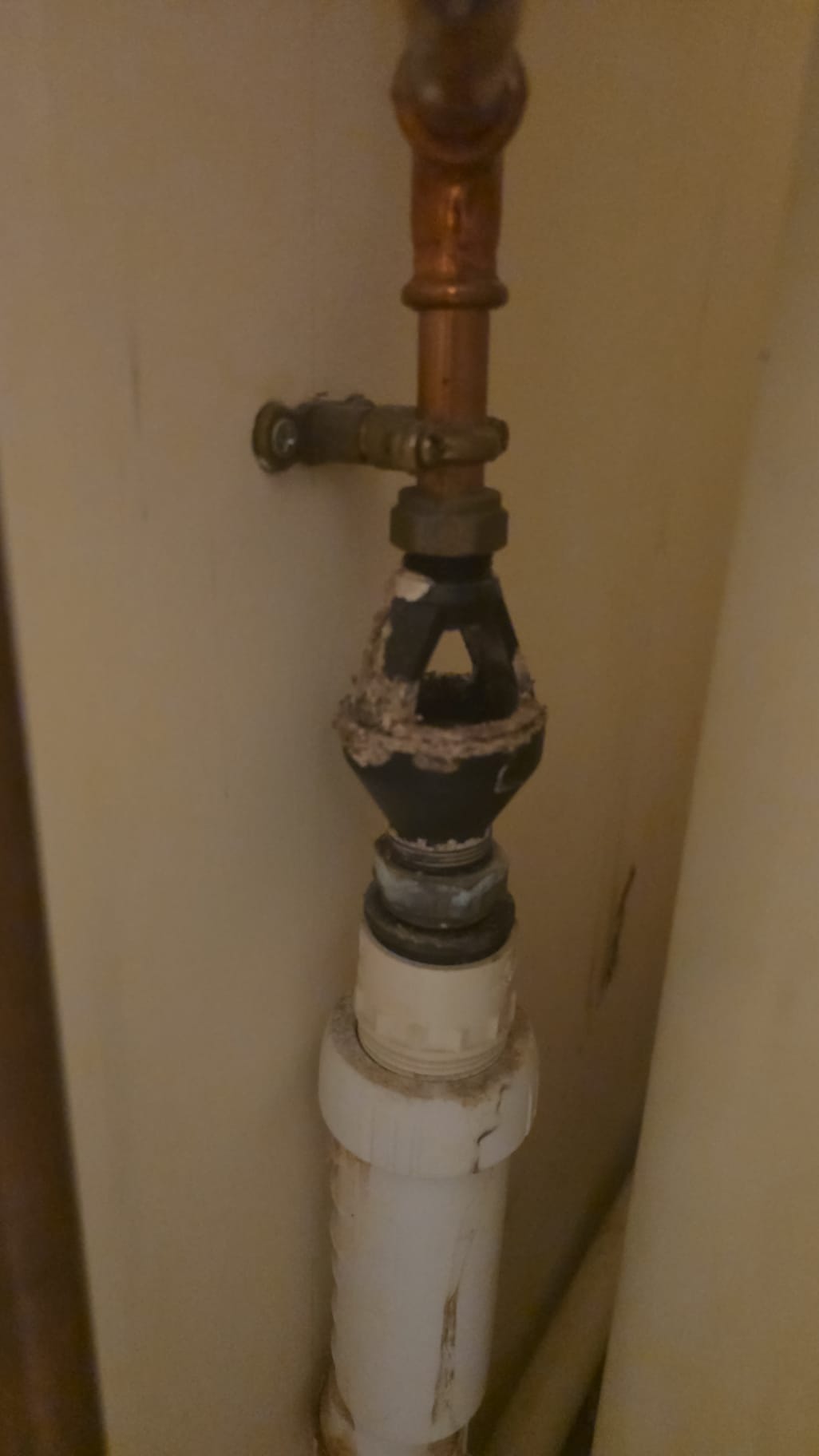 Close-up of a corroded plumbing valve connecting a copper pipe to a white plastic pipe against a plain wall.